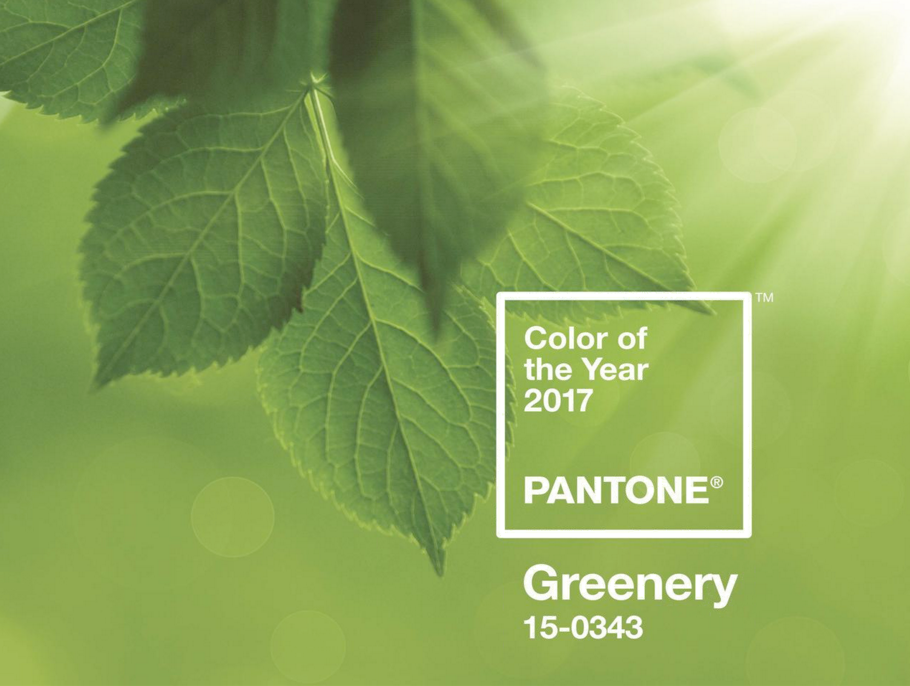 GREENERY COLOR DEL AÑO 2017, COLOR OF THE YEAR 2017